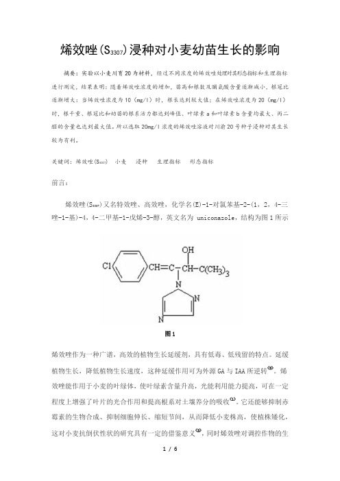 烯效唑(S3307)浸种对小麦幼苗生长的影响