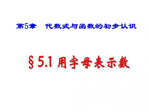 5.1用字母表示数   青岛版