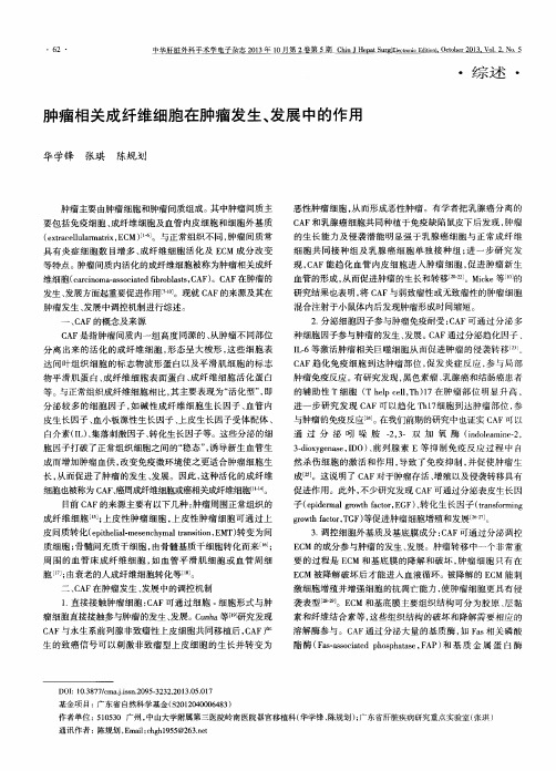 肿瘤相关成纤维细胞在肿瘤发生、发展中的作用