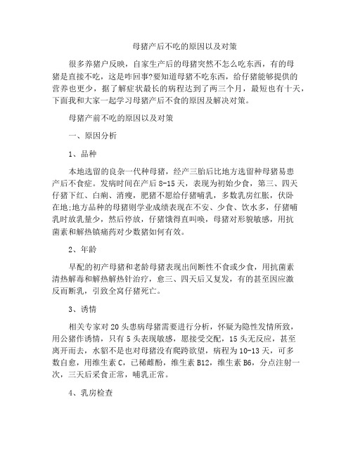 母猪产后不吃的原因以及对策