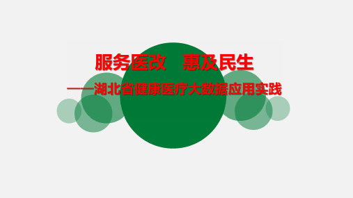 服务医改惠及民生湖北省健康医疗大数据应用实践