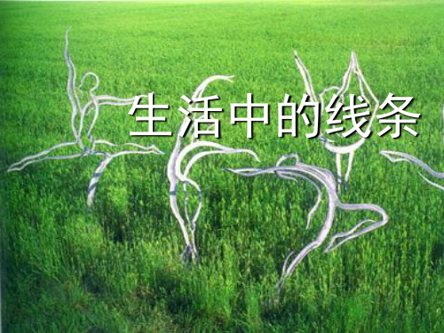人教新课标四年级上册美术《生活中的线条》课件