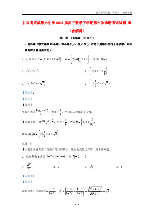 甘肃省武威第六中学2021届高三数学下学期第六次诊断考试试题 理(含解析)