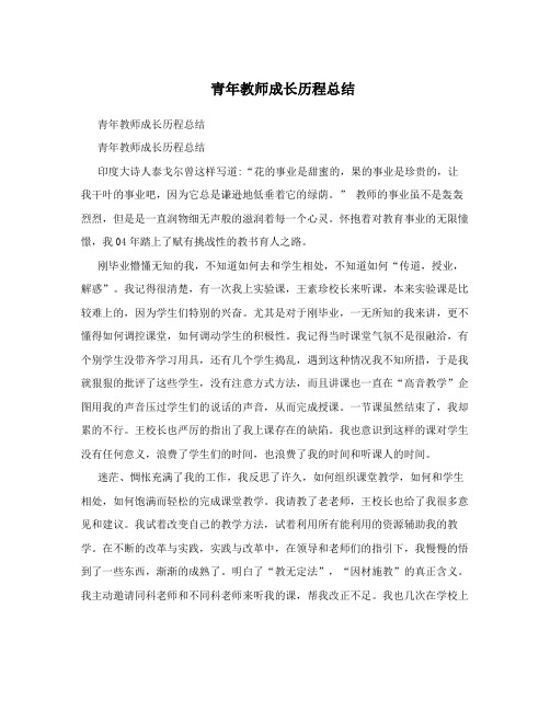 青年教师成长历程总结