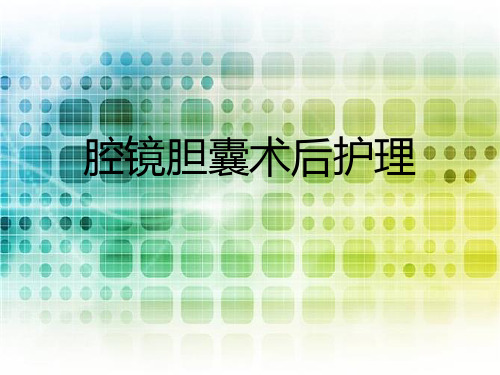 腹腔镜胆囊术后护理措施.PPT