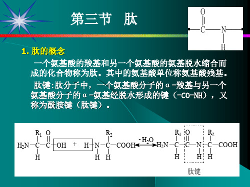 生物化学第一章 蛋白质——结构与功能的关系