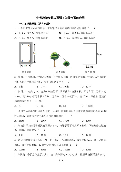 中考数学专题复习题：勾股定理的应用