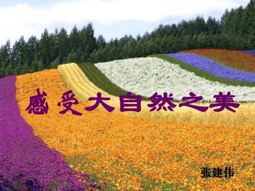 八年级政治感受大自然之美