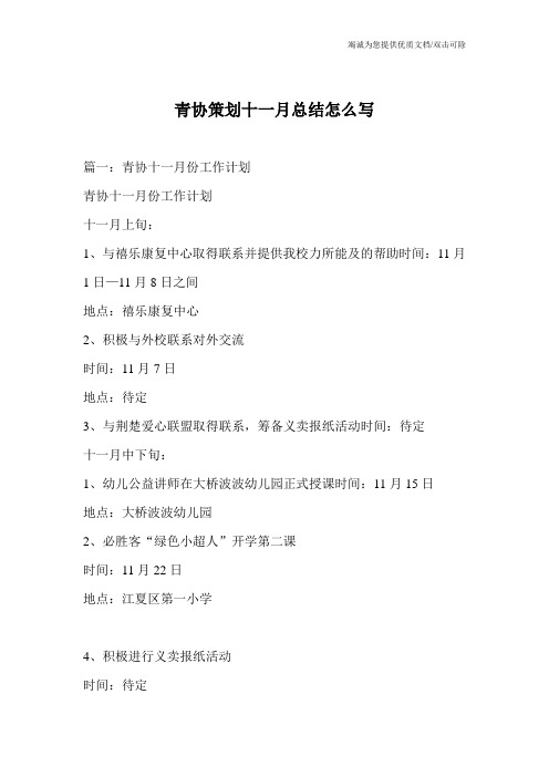 青协策划十一月总结怎么写