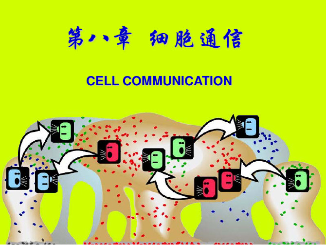 细胞生物学教程8