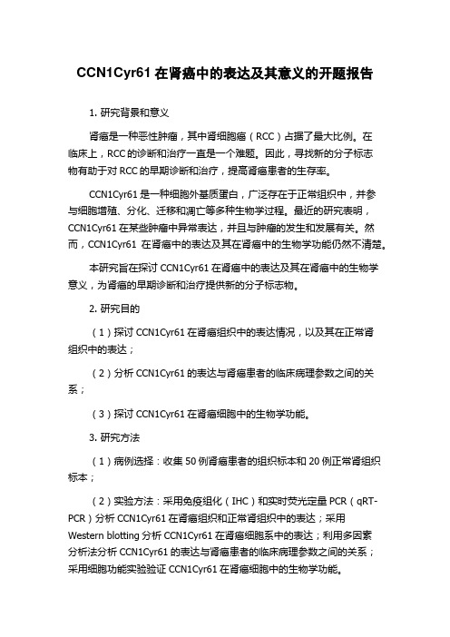 CCN1Cyr61在肾癌中的表达及其意义的开题报告