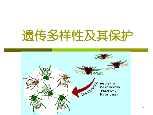 保护生物学 - 05遗传多样性及保护