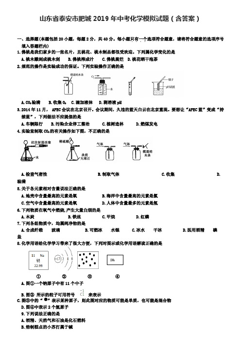 山东省泰安市肥城2019年中考化学模拟试题(含答案)