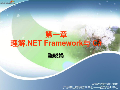 第一章 .NET Framework框架简介..