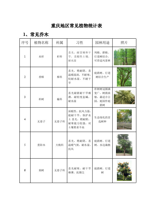 重庆常用植物统计