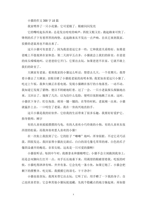 小猫的优秀作文300字10篇