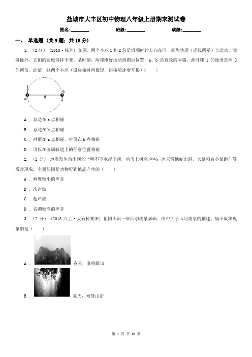 盐城市大丰区初中物理八年级上册期末测试卷