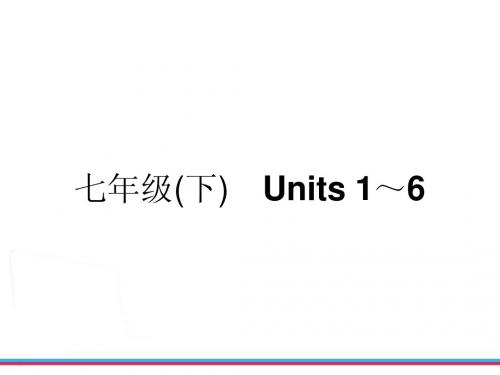 中考复习新目标英语七年级(下) Units 1～6