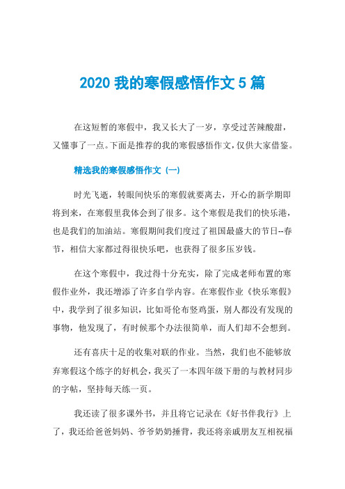 2020我的寒假感悟作文5篇