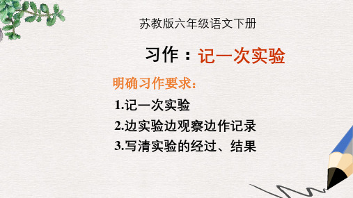 六年级语文下册 习作四《一个有趣的实验》课件4 苏教版