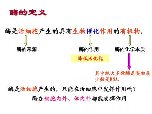 酶的特性(使用)