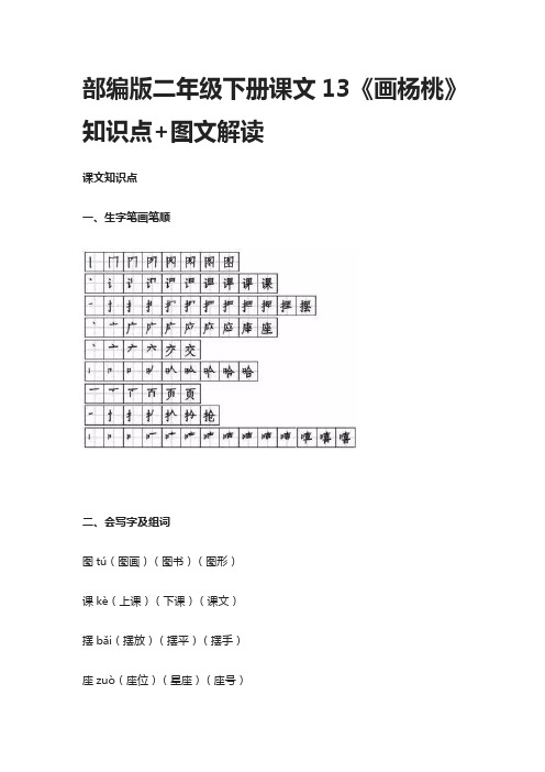 部编版二年级语文下册课文13《画杨桃》知识点+图文解读