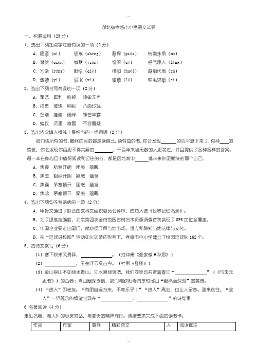 精选湖北省孝感市中考语文模拟试题(有详细答案)