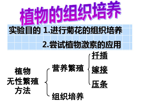 实验7植物的组织培养(浙科版选修1)xuesheng