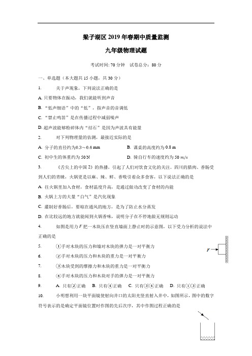 2019届九年级下学期期中质量监测物理试题(附答案)