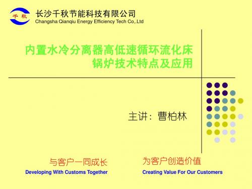 高低混合流速床锅炉技术介绍(曹教授)