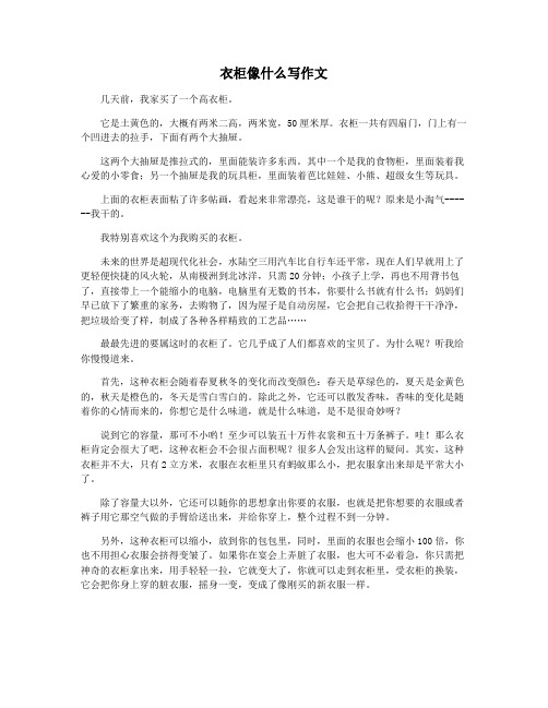 衣柜像什么写作文