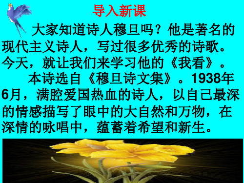 《我看》教学课件