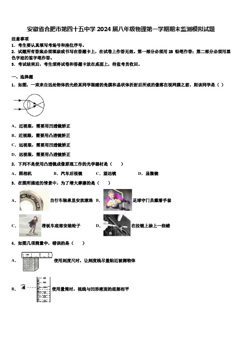 安徽省合肥市第四十五中学2024届八年级物理第一学期期末监测模拟试题含解析