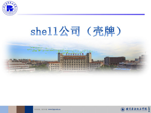 shell公司介绍