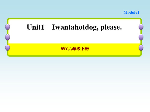 外研版六年级下册英语Module 1 Unit1 I want a hot dog, pl作业课件