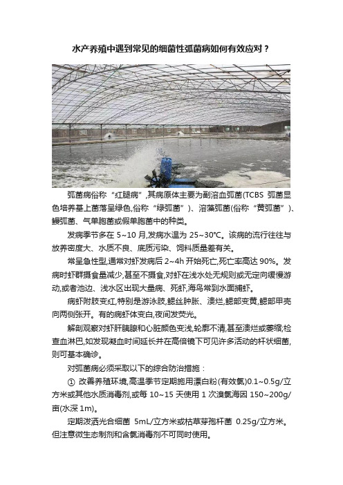 水产养殖中遇到常见的细菌性弧菌病如何有效应对？