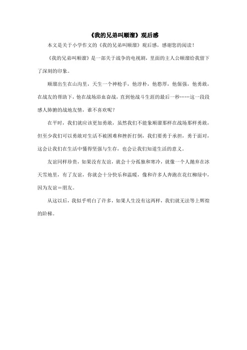 《我的兄弟叫顺溜》观后感_小学作文