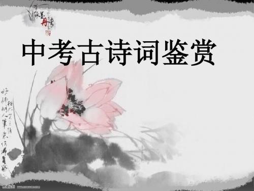 中考语文复习资料(第一轮)诗歌鉴赏(简单版)