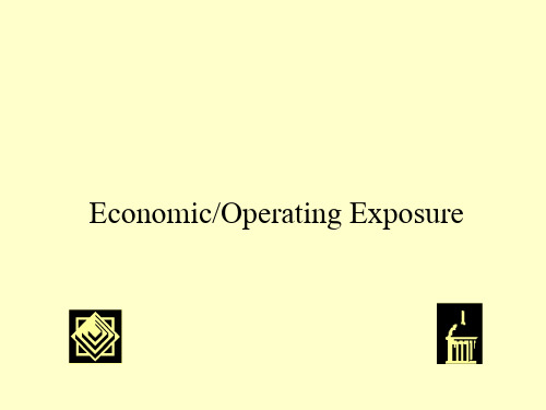 EconomicOperatingExposure(外汇风险)