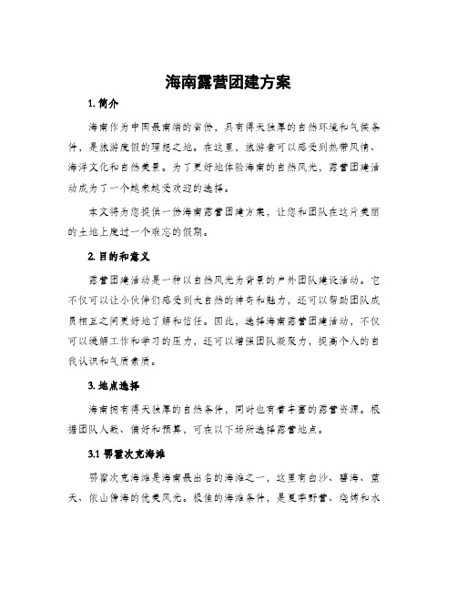 海南露营团建方案