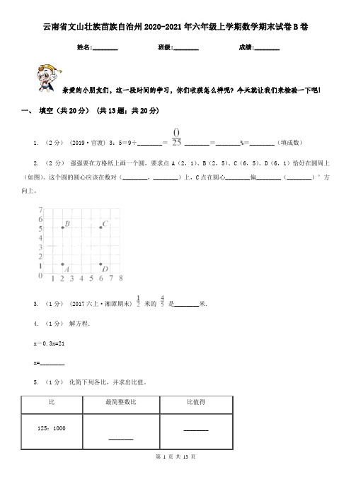 云南省文山壮族苗族自治州2020-2021年六年级上学期数学期末试卷B卷