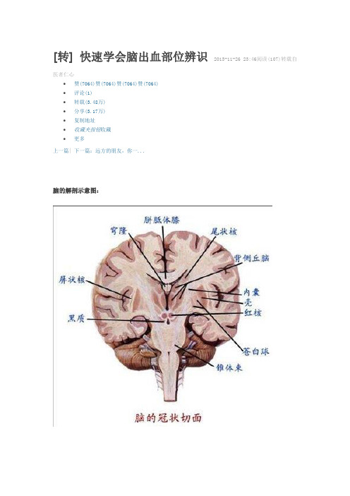 脑出血部位辨识汇总