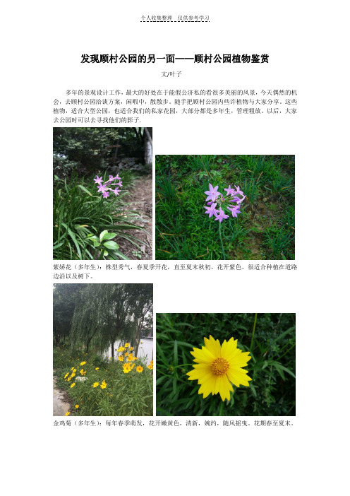 花园管家上海顾村公园植物鉴赏