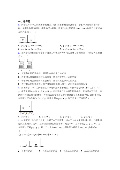 初中物理第九章 压强(讲义及答案)及解析