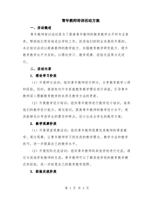 青年教师培训活动方案