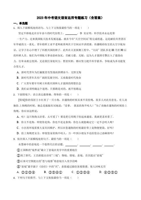 2023年中考语文语言运用专题练习(含答案)