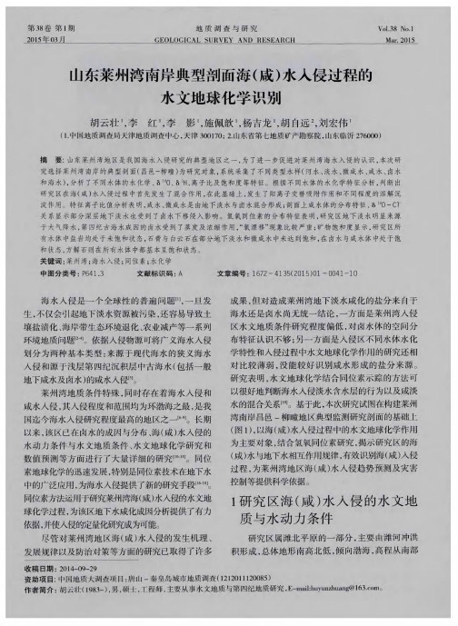 山东莱州湾南岸典型剖面海(咸)水入侵过程的水文地球化学识别