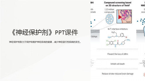 《神经保护剂》课件