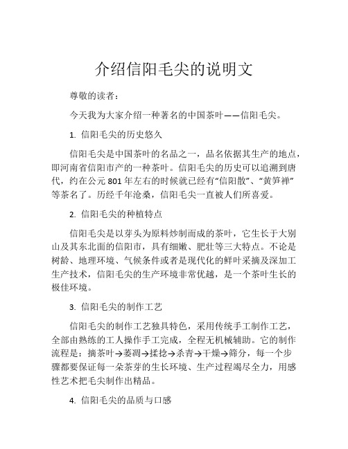 介绍信阳毛尖的说明文