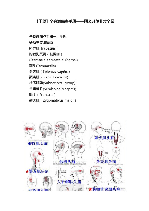 【干货】全身激痛点手册——图文并茂非常全面